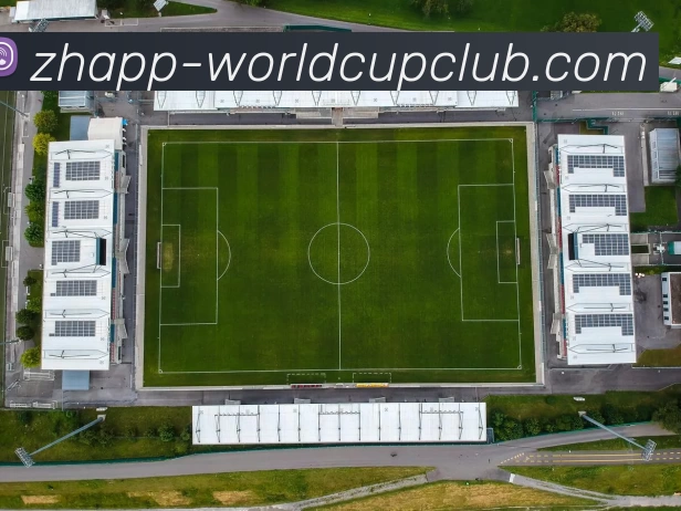 世界杯买球APP 封面图